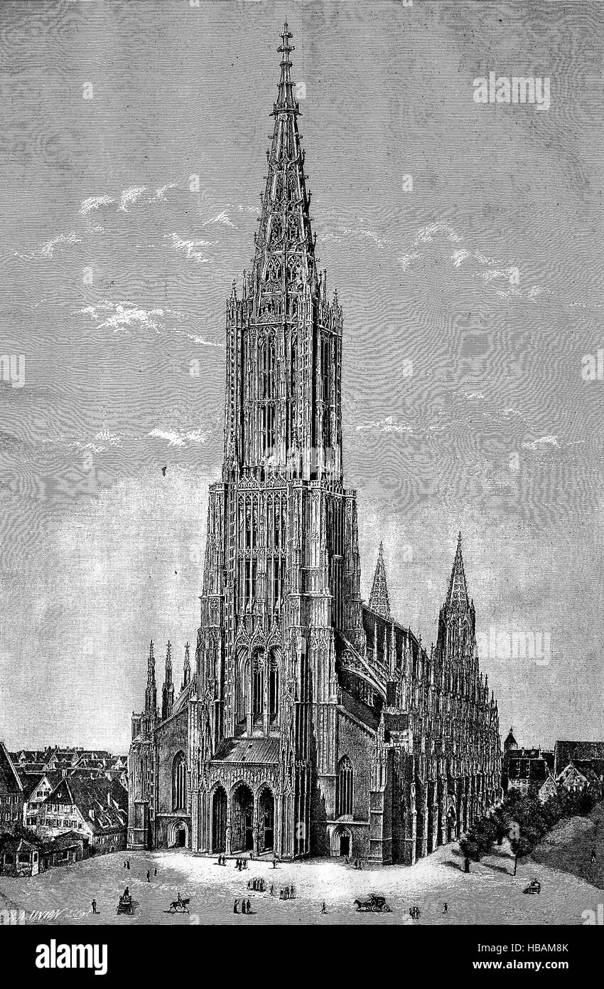 Ulm Minster, Ulmer Muenster, is a Lutheran church located in Ulm, Germany, It is the tallest church in the world, hictorical illustration from 1880 Stock Photo