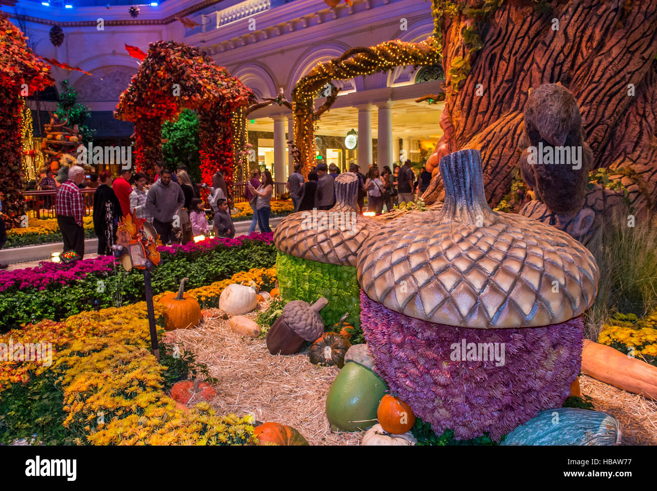 Fall season in Bellagio Hotel Conservatory & Botanical Gardens in Las Vegas. Stock Photo