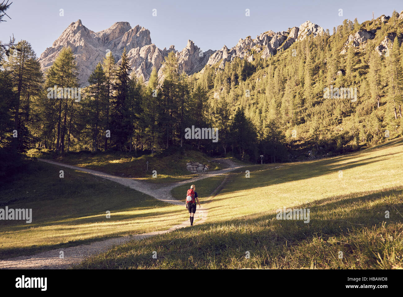 Rear view of female hiker hiking towards Dolomites, Sexten, South Tyrol, Italy Stock Photo