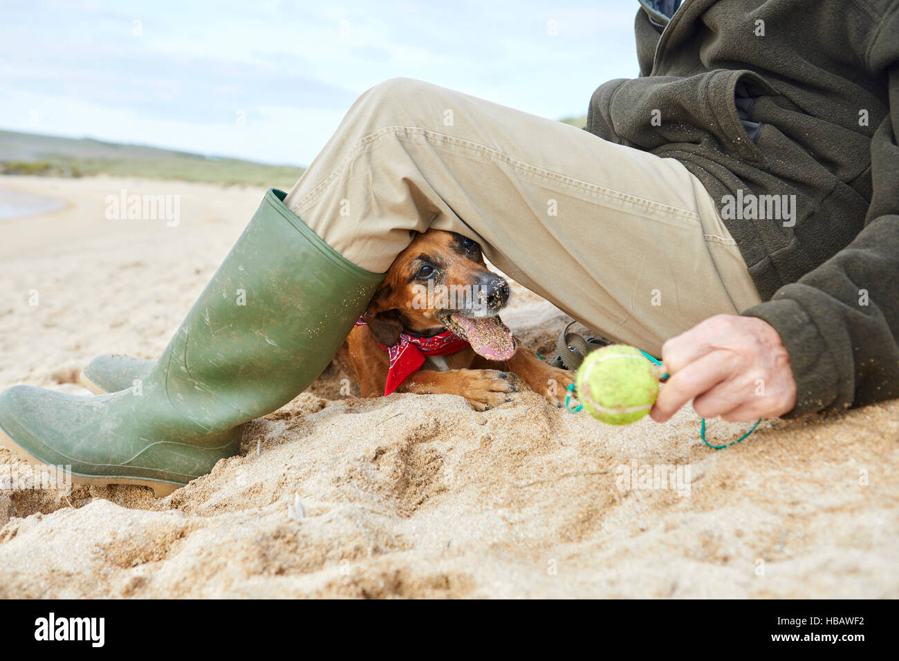 Man and pet dog sitting on beach, Constantine Bay, Cornwall, UK Stock Photo