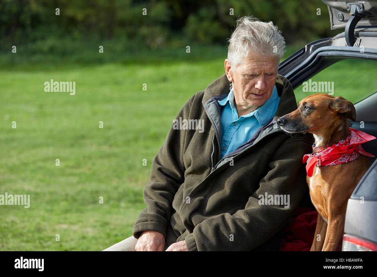 Man and dog sitting in car boot Stock Photo