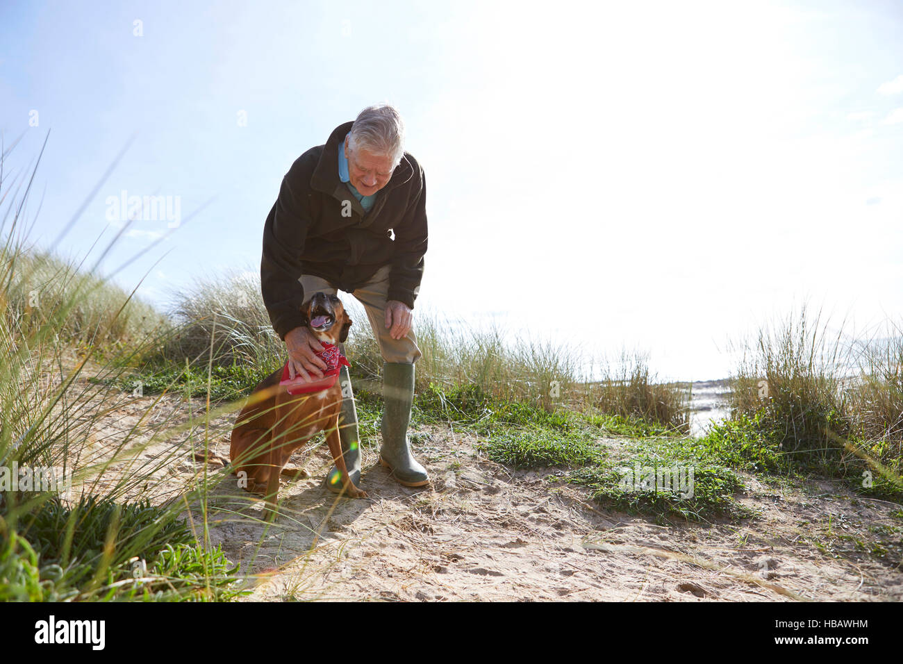 Man stroking pet dog on sand dunes, Constantine Bay, Cornwall, UK Stock Photo