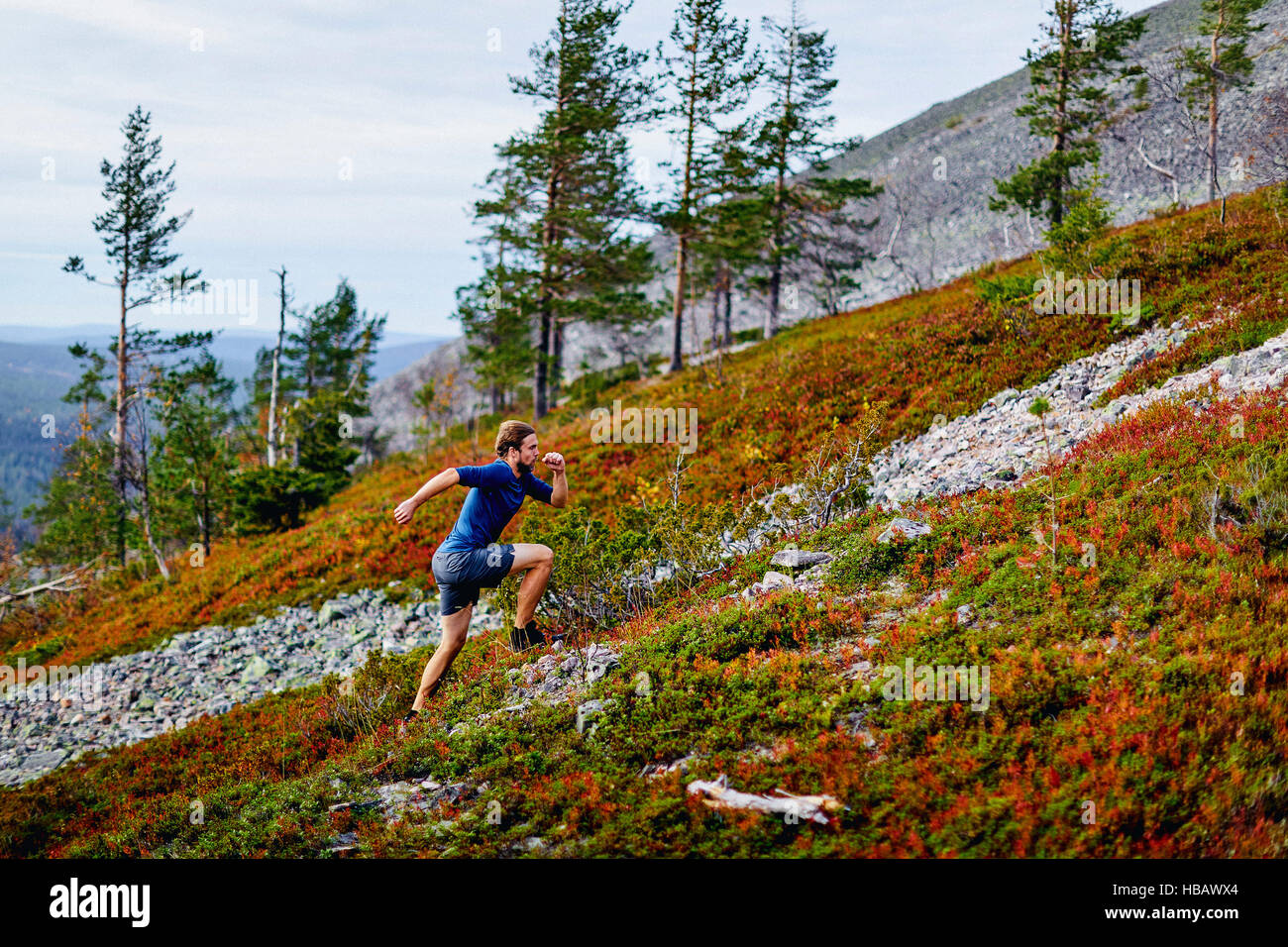 Man running up steep hill, Kesankitunturi, Lapland, Finland Stock Photo