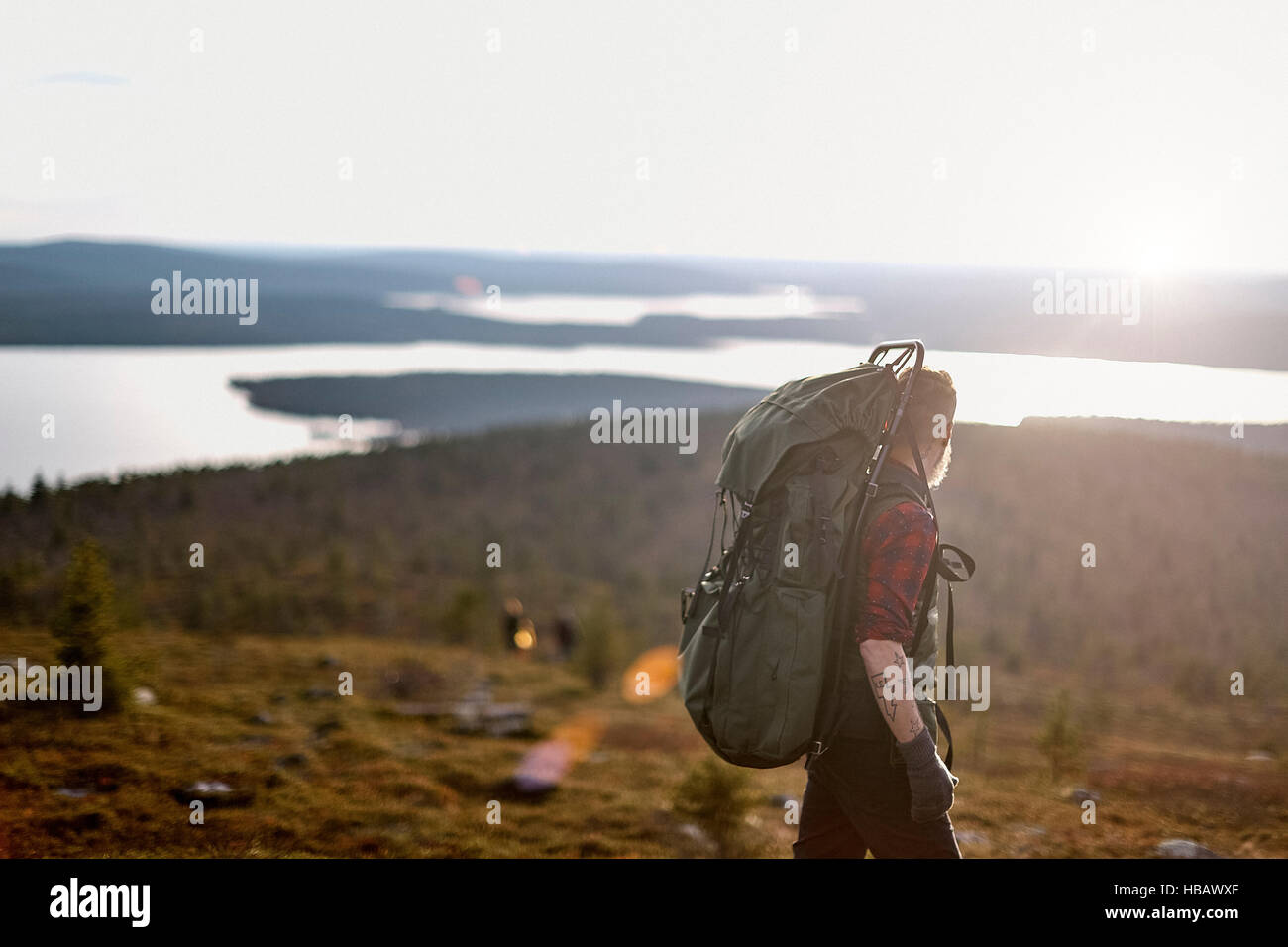 Stubborn grass stock image. Image of grey, cargo, perspective - 9621555