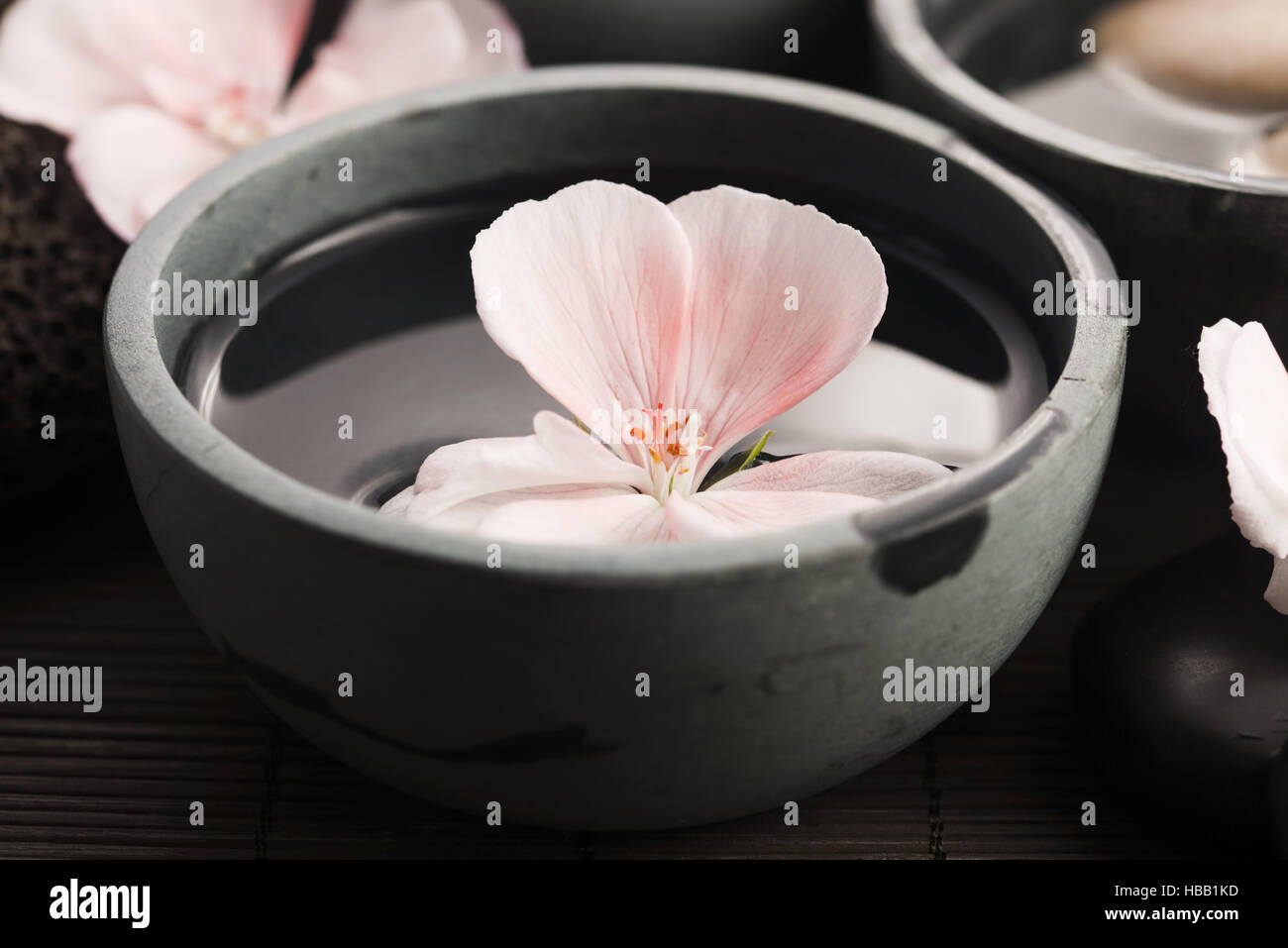 Spa still life, with pink flowers, stones and water Stock Photo - Alamy