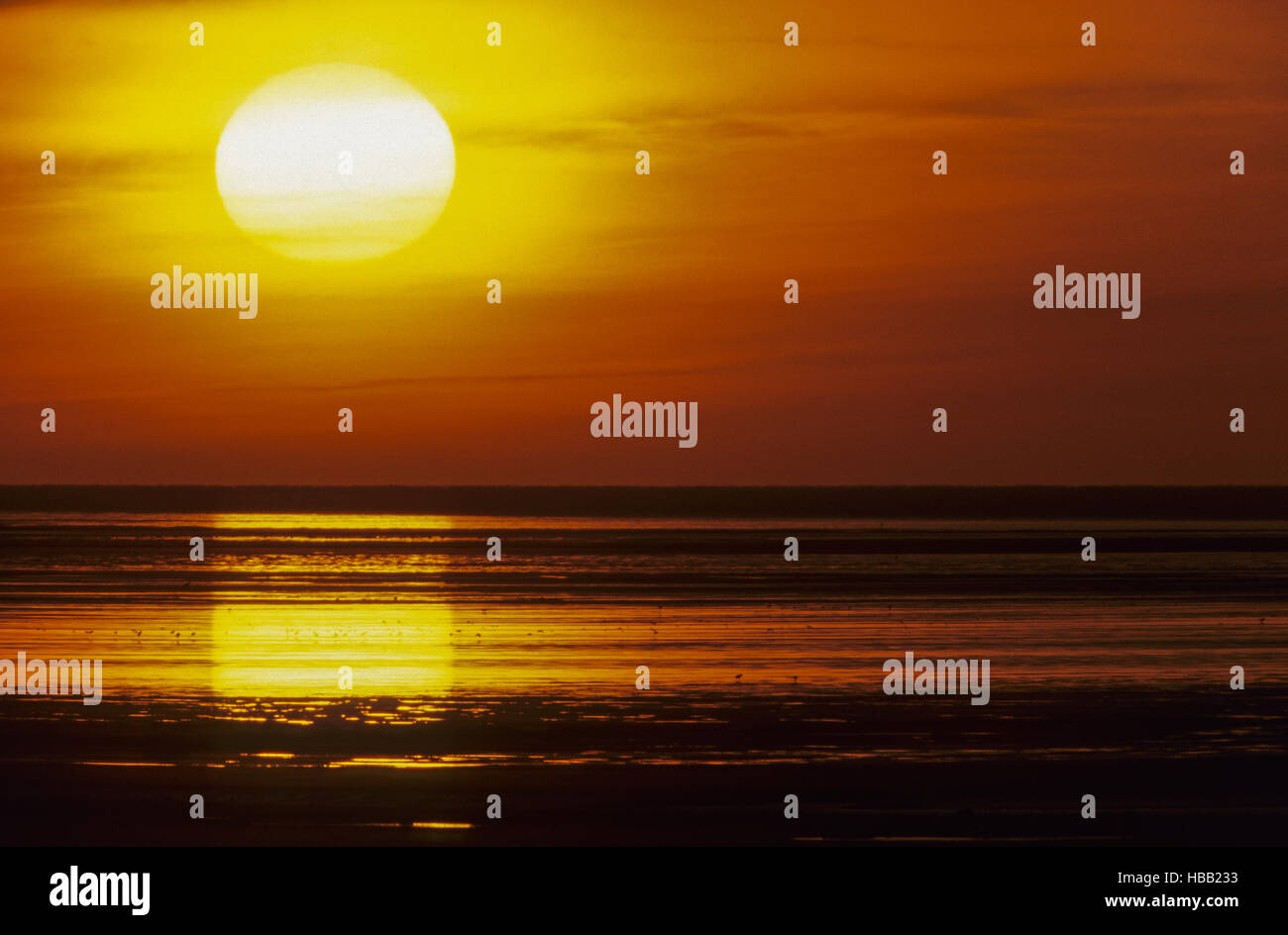 Sunset at North Sea coast Stock Photo