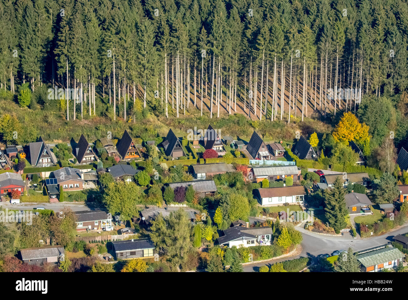 Aerial view, apartments, gabled house at the forest edge, Frenkhausen, District of Meschede with holiday homes, Meschede, Stock Photo