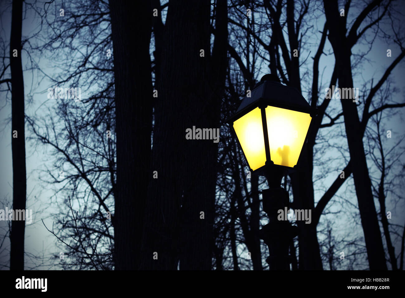 Silhouettes of trees hi-res stock photography and images - Alamy