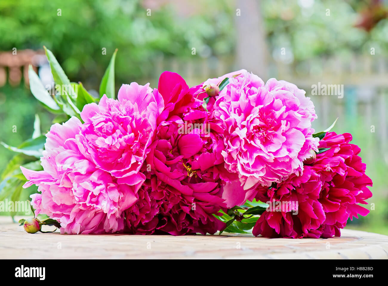 Pink peony flowers bouquet Stock Photo