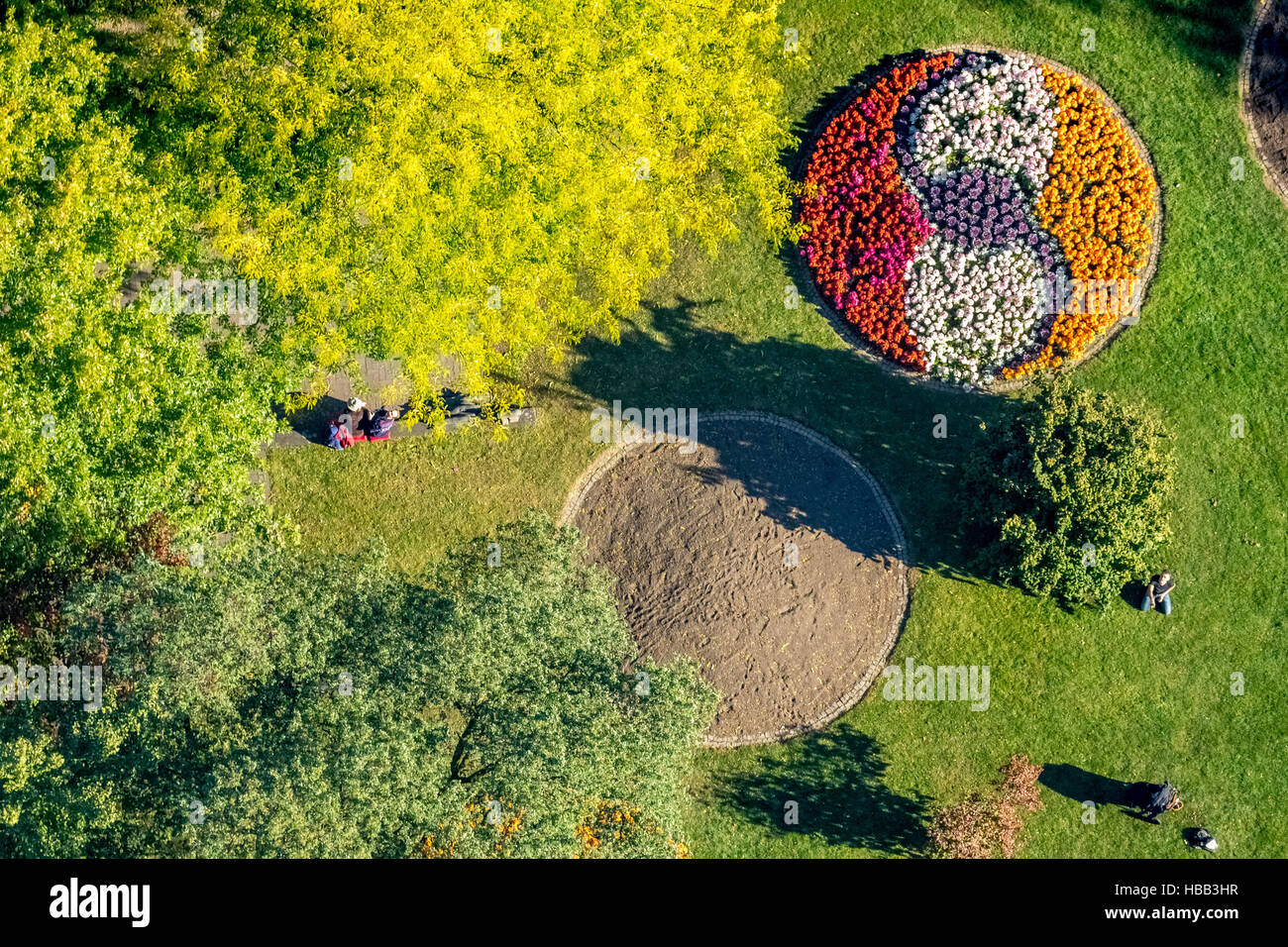 Aerial view, flowerbeds in the park Siegen,  garden, colorful, Siegen, Siegerland, north rhine-westphalia, Germany, Europe, Stock Photo