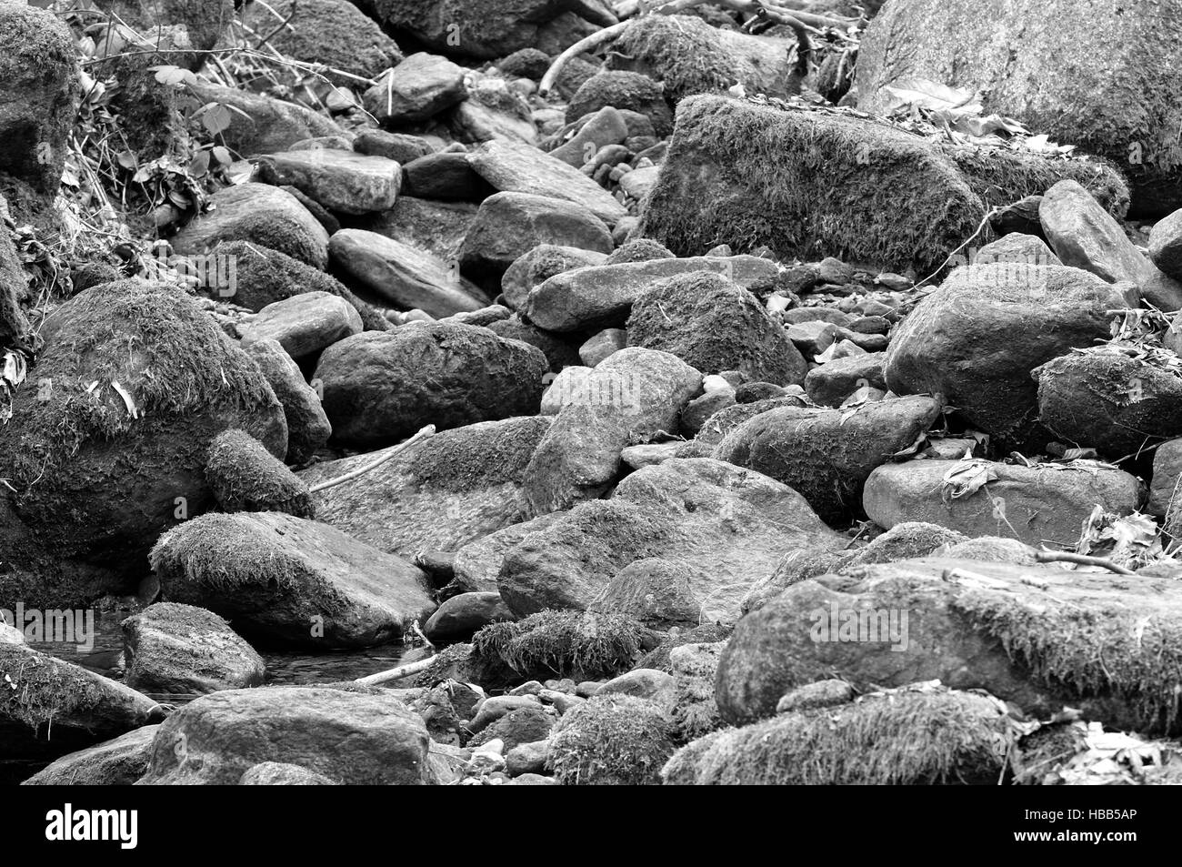 Scree in the riverbed in black and white Stock Photo