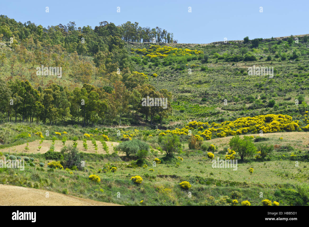 REGIONE SICILIANA visual data 4