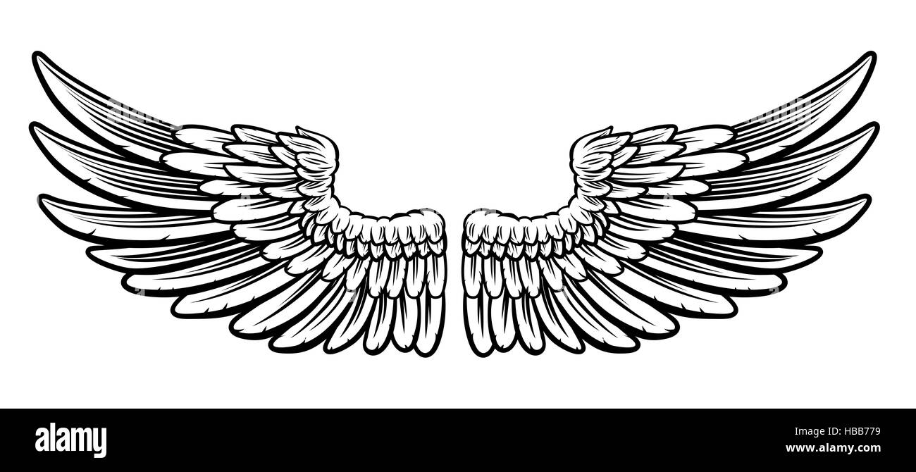 A pair of etched woodcut vintage style wings Stock Photo