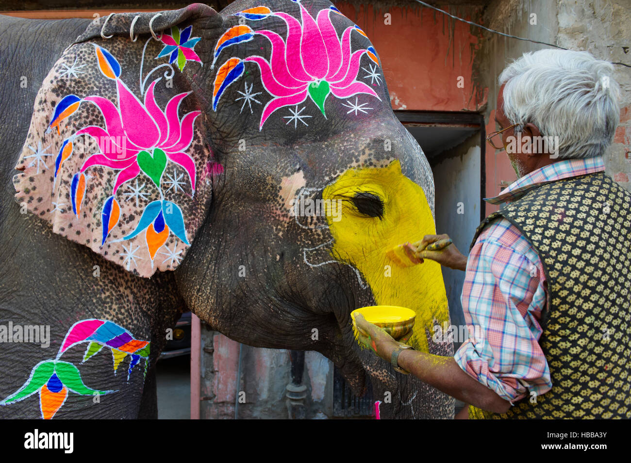 Inde, Rajasthan, Jaipur, peinture et decoration des elephants pour le
