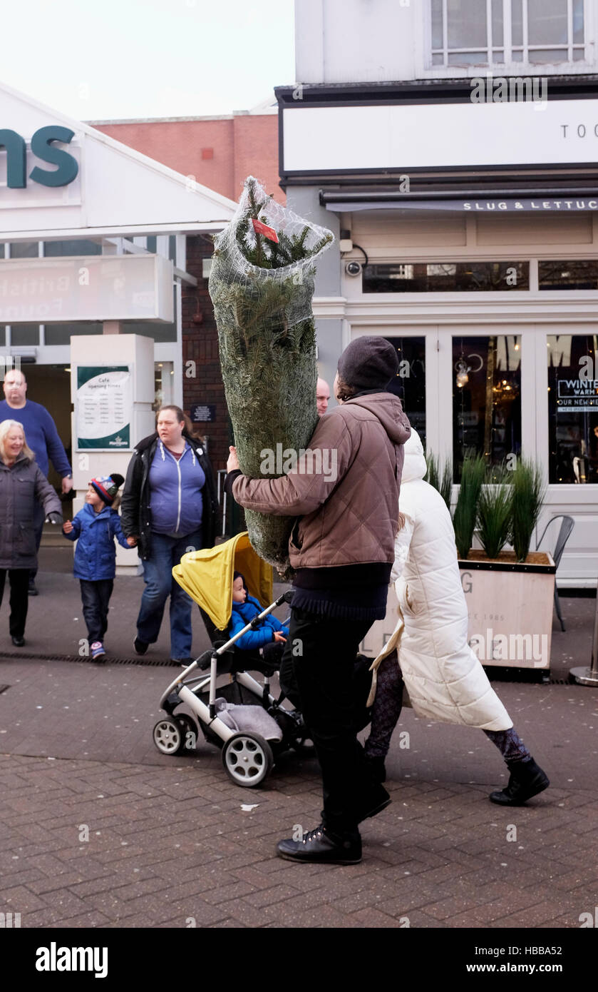 Man with his family carrying a newly bought real Christmas tree in Sutton Surrey UK Stock Photo