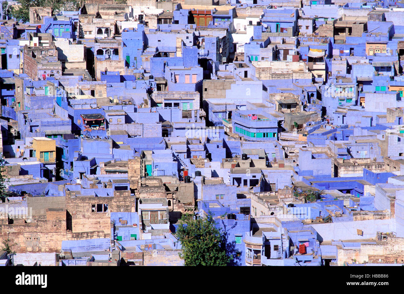 India, Rajasthan, Jodphur, blue city, color, colour, house Stock Photo ...