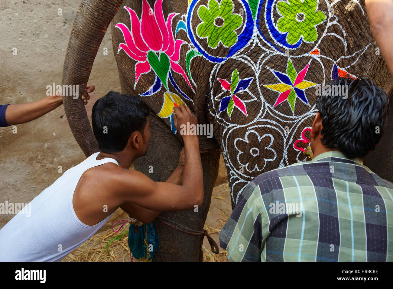 Inde, Rajasthan, Jaipur, peinture et decoration des elephants pour le