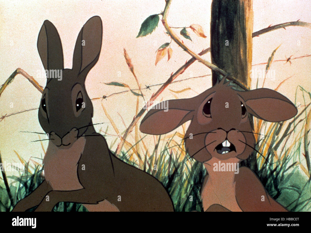 Watership Down visual data 5