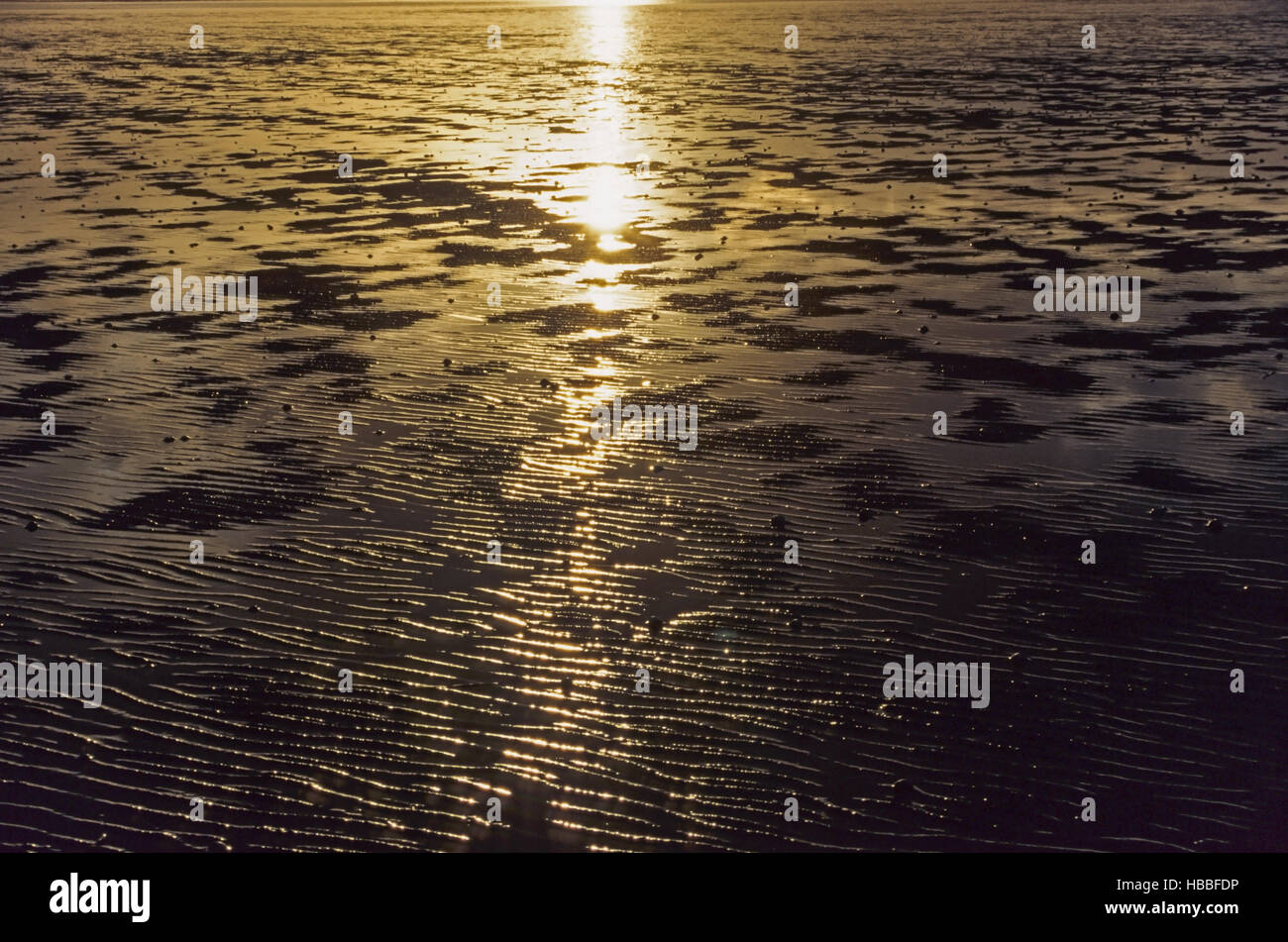 Sunset with ripple marks at North Sea coast Stock Photo