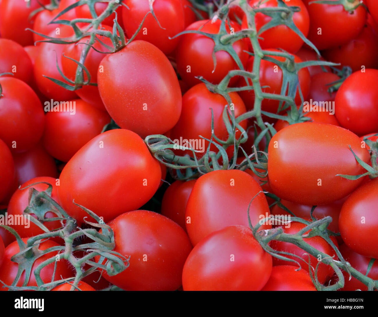 Plum vine hires stock photography and images Alamy