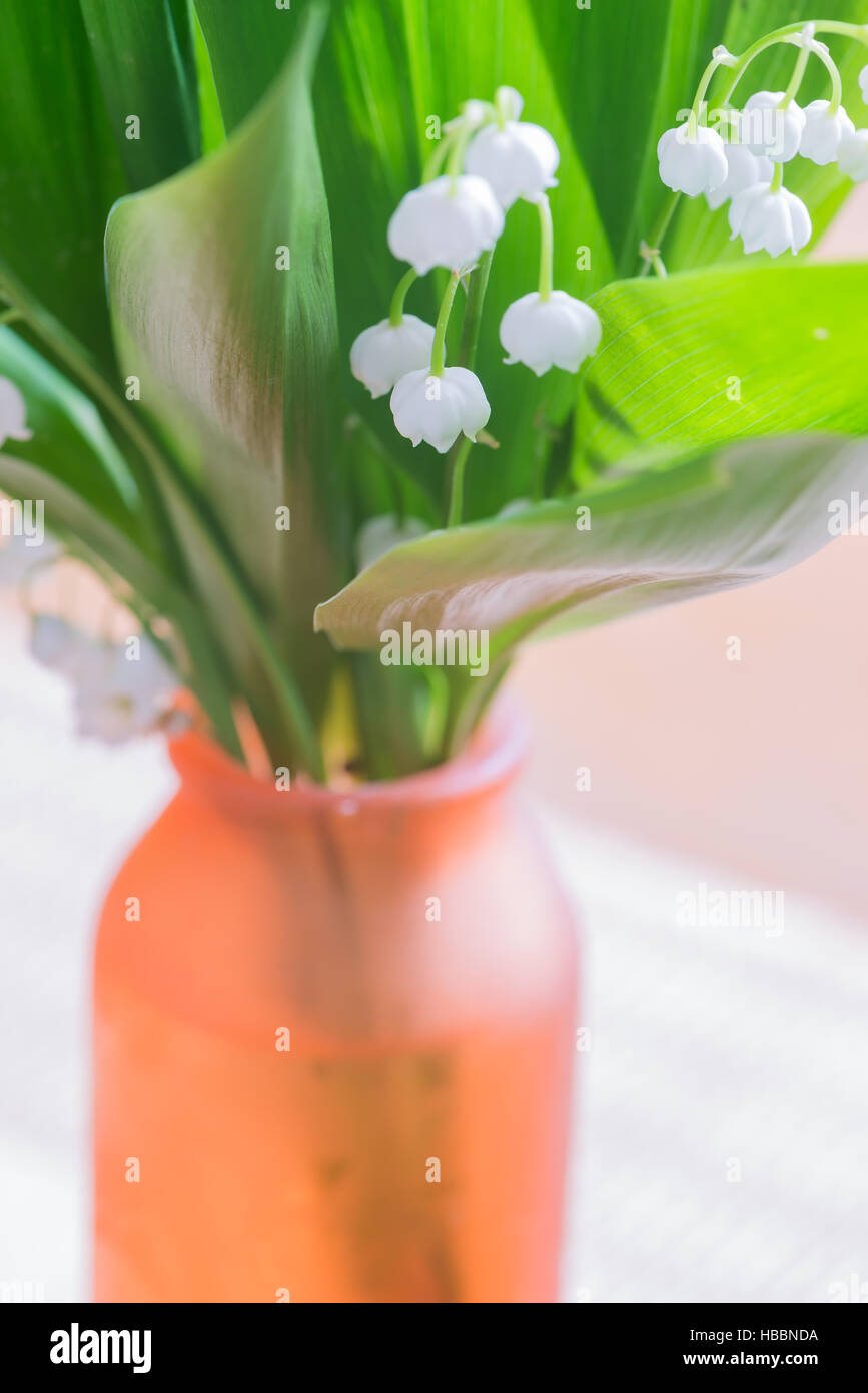 Bouquet of lily of the Valley Stock Photo - Alamy