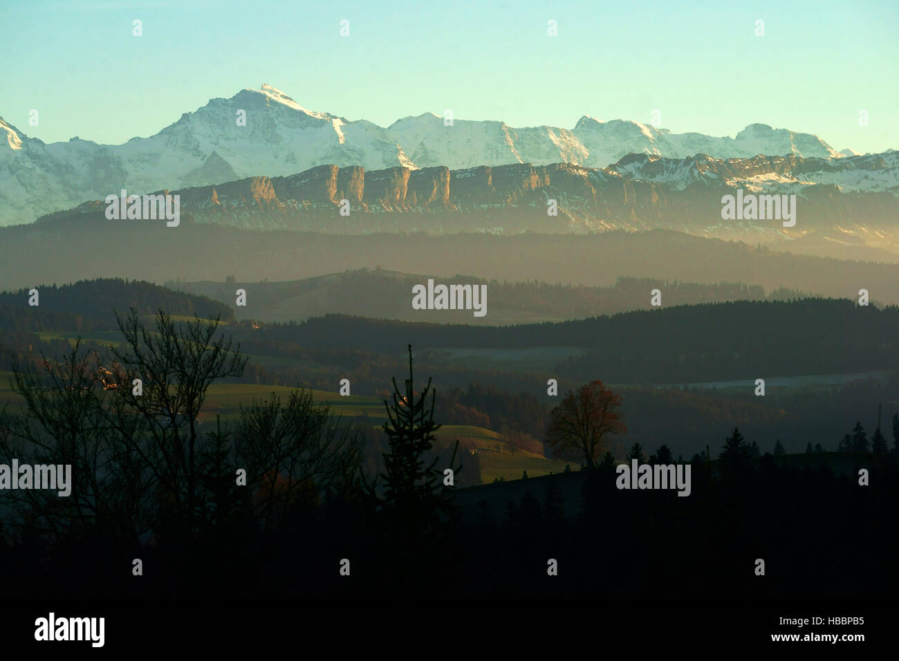 Bernese alps with Mt. Jungfrau, seen from Waldhäusern, Emmental, late fall, Switzerland Stock Photo