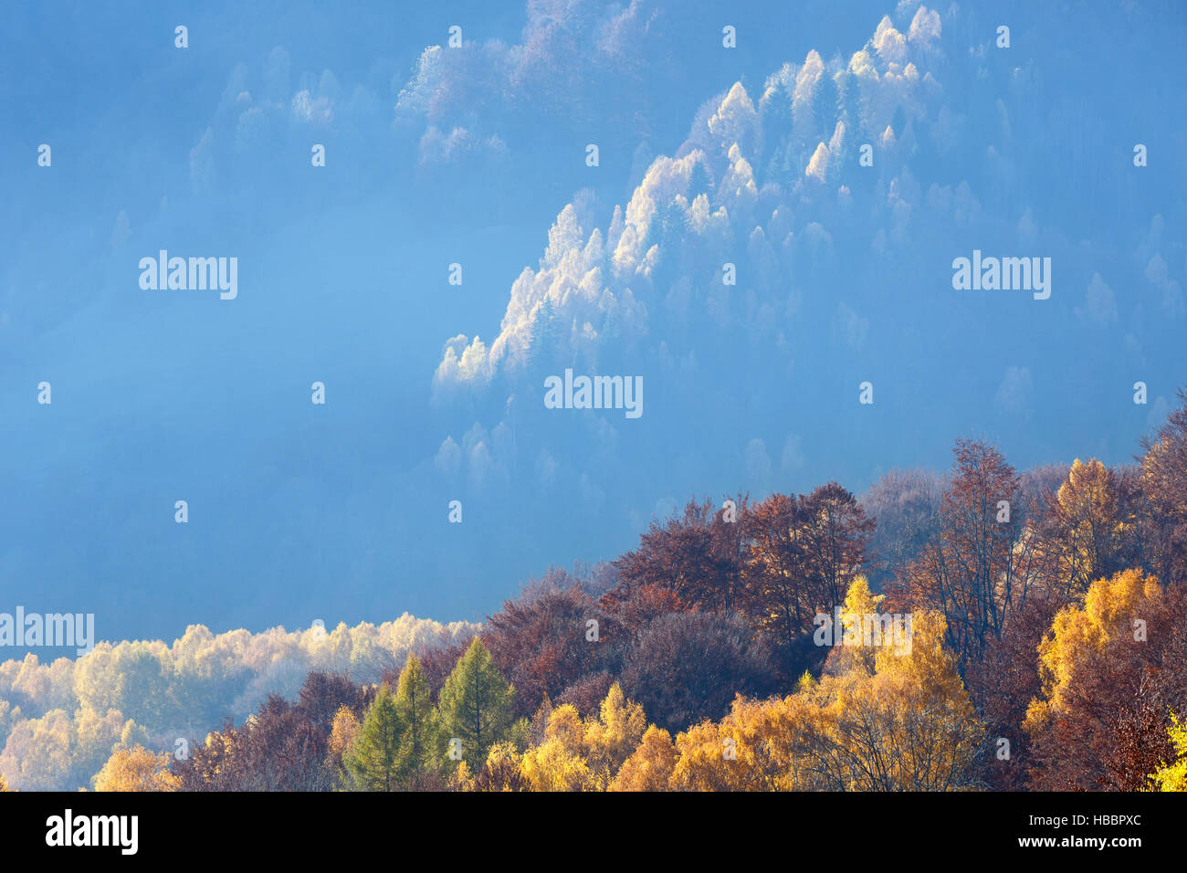 Golden autumn in mountain Stock Photo - Alamy
