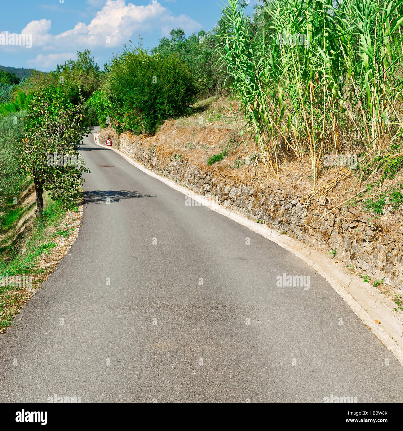 Asphalt Road Stock Photo