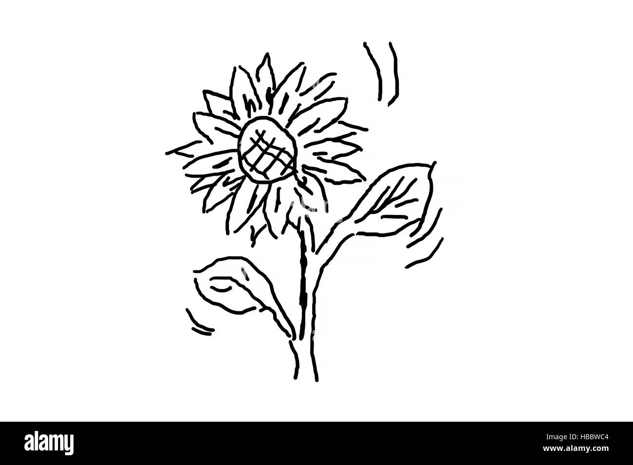 Simple hand drawing a flower Stock Photo