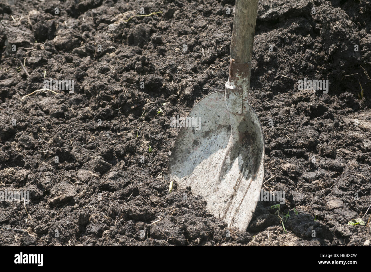 Shovel stuck in manure in farm yard Stock Photo Alamy