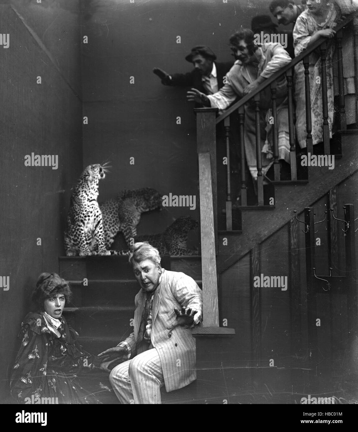 1900s 1910s GROUP OF PEOPLE ON STAIRS FRIGHTENED BY TWO SNARLING LEOPARDS SILENT MOVIE STILL - 01/01/1985 - Photo by: AMERICAN Stock Photo
