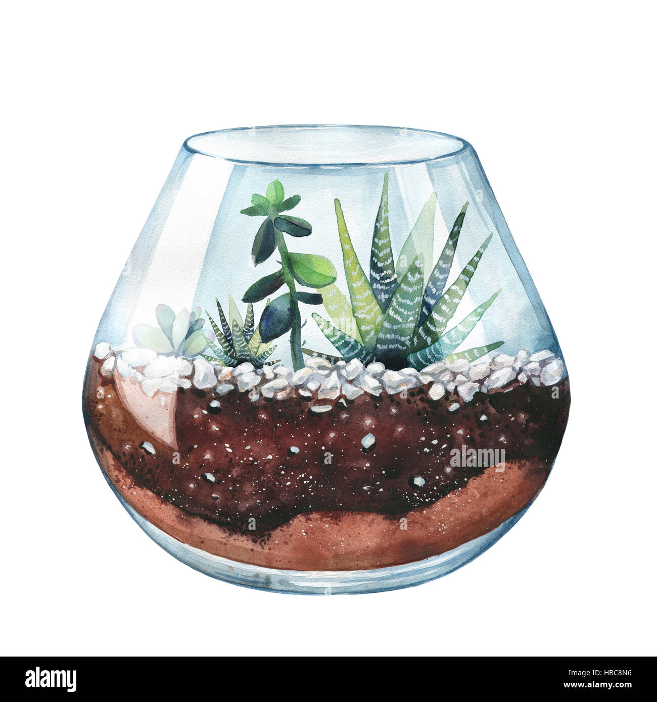 Terrarium Art High Resolution Stock Photography and Images Alamy