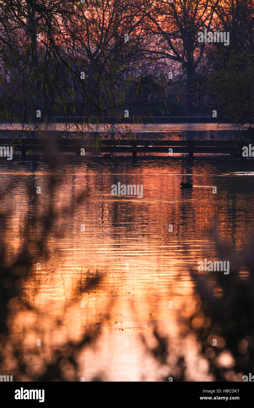 Finsbury Park, North London, 5 Dec 2016. Winter sunset in Finsbury Park