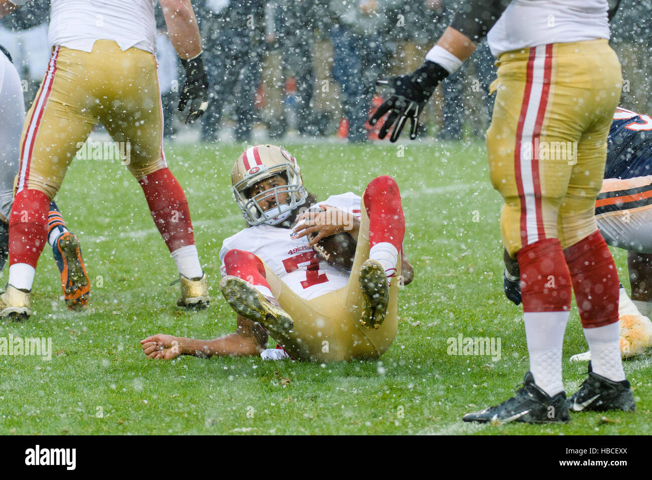 Chicago, USA. 4th December, 2016. San Francisco 49ers Quarterback Colin Kaepernick (7) on the ground after being sacked in the 1st quarter during an NFL football game between the San Francisco 49ers and the Chicago Bears at Soldier Field in Chicago, IL. © Action Plus Sports Images/Alamy Live News Stock Photo