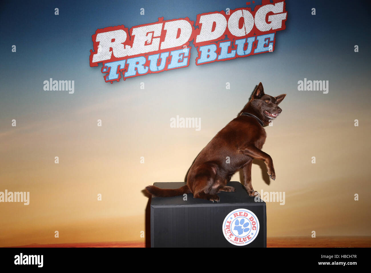 is red dog 2 a true story