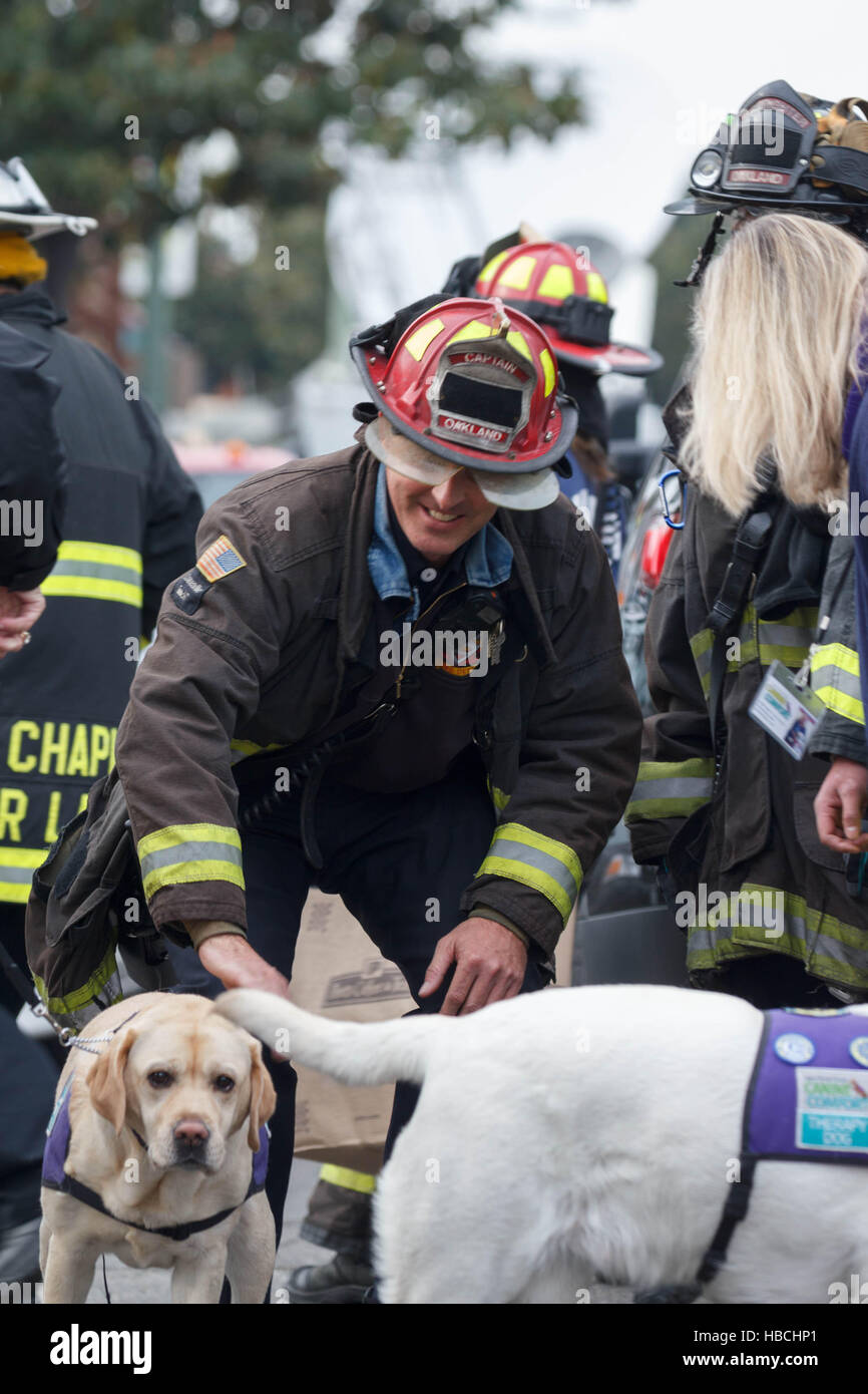 Oakland, USA. 05th Dec, 2016. Oakland Fire Captain Chris Foley pets a 'Therapy Dog' brought to comfort recovery workers and community members. 'They're a life saver,' he said. Credit:  John Orvis/Alamy Live News Stock Photo