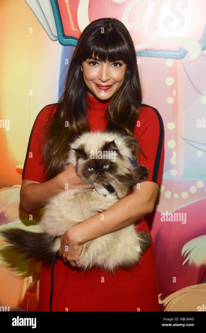 New York, NY, USA. 6th Dec, 2016. Hannah Simone attends the launch of(01)