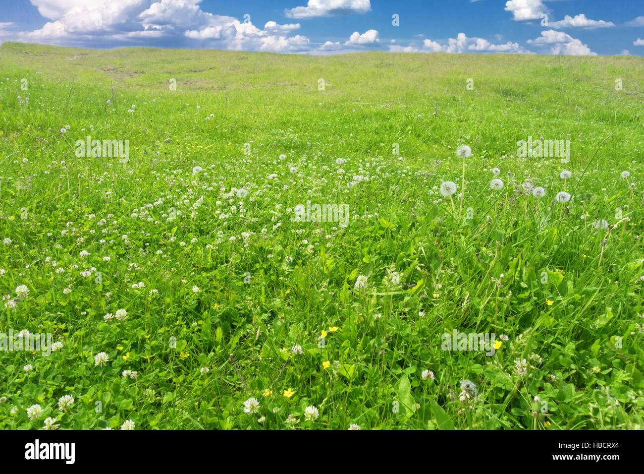 Sky and summer hi-res stock photography and images - Alamy