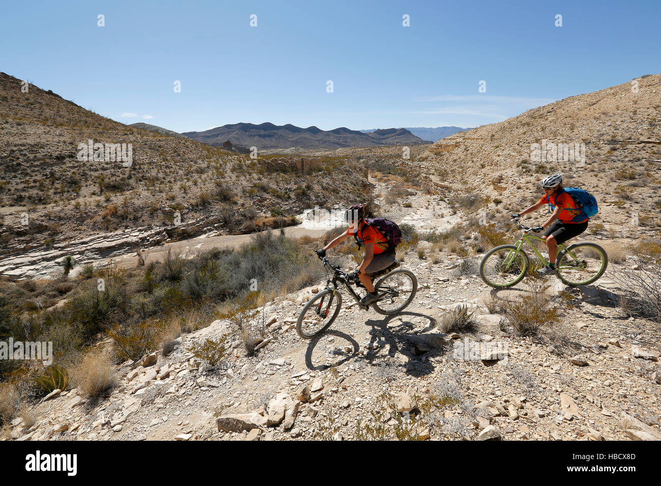 Mountain biking Big Bend Ranch State Park in west Texas. Stock Photo