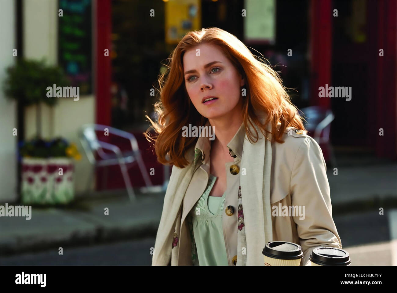 LEAP YEAR 2010 Universal Pictures film with Amy Adams Stock Photo