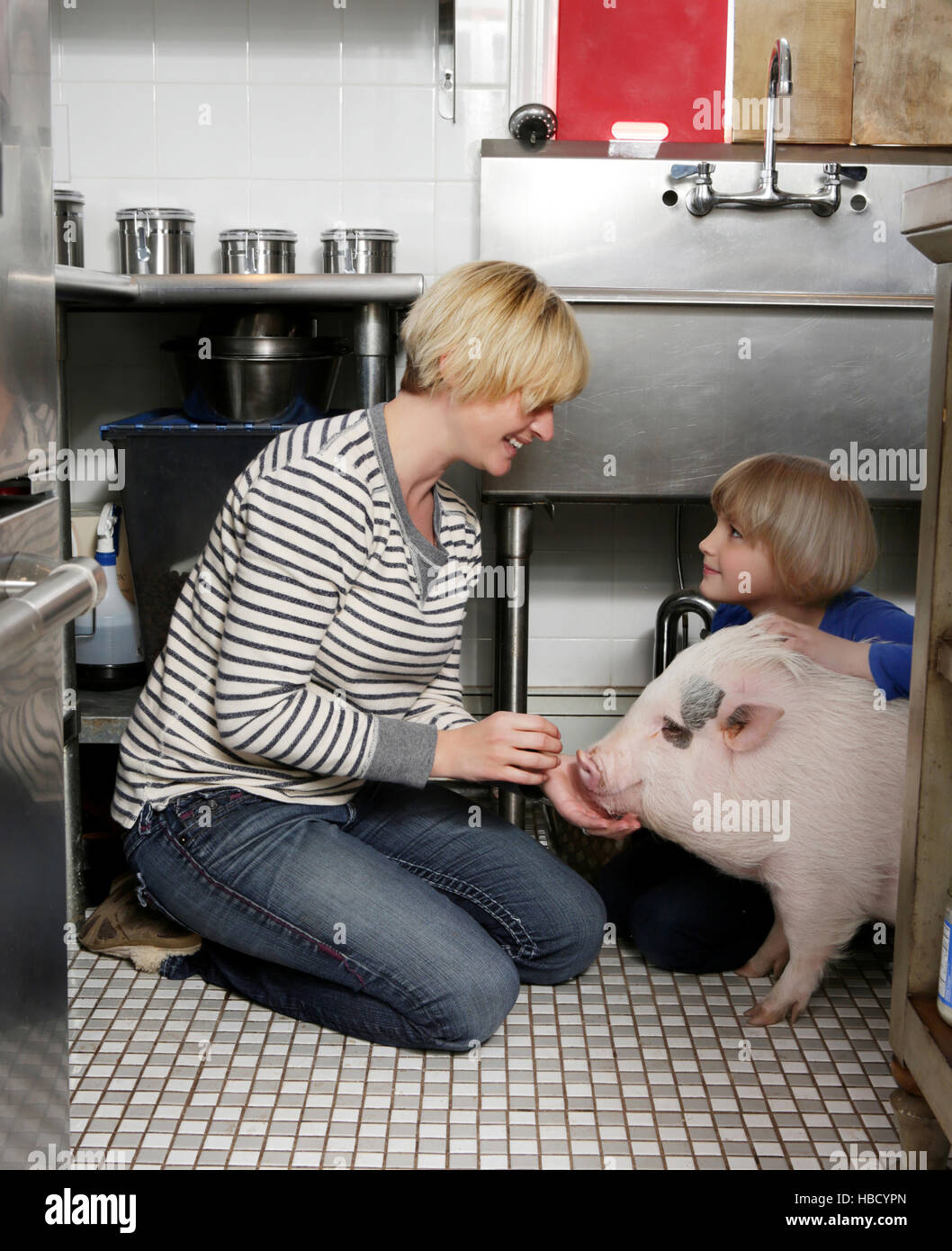 Mother and daughter sitting in kitchen stroking pet pig Stock Photo Alamy