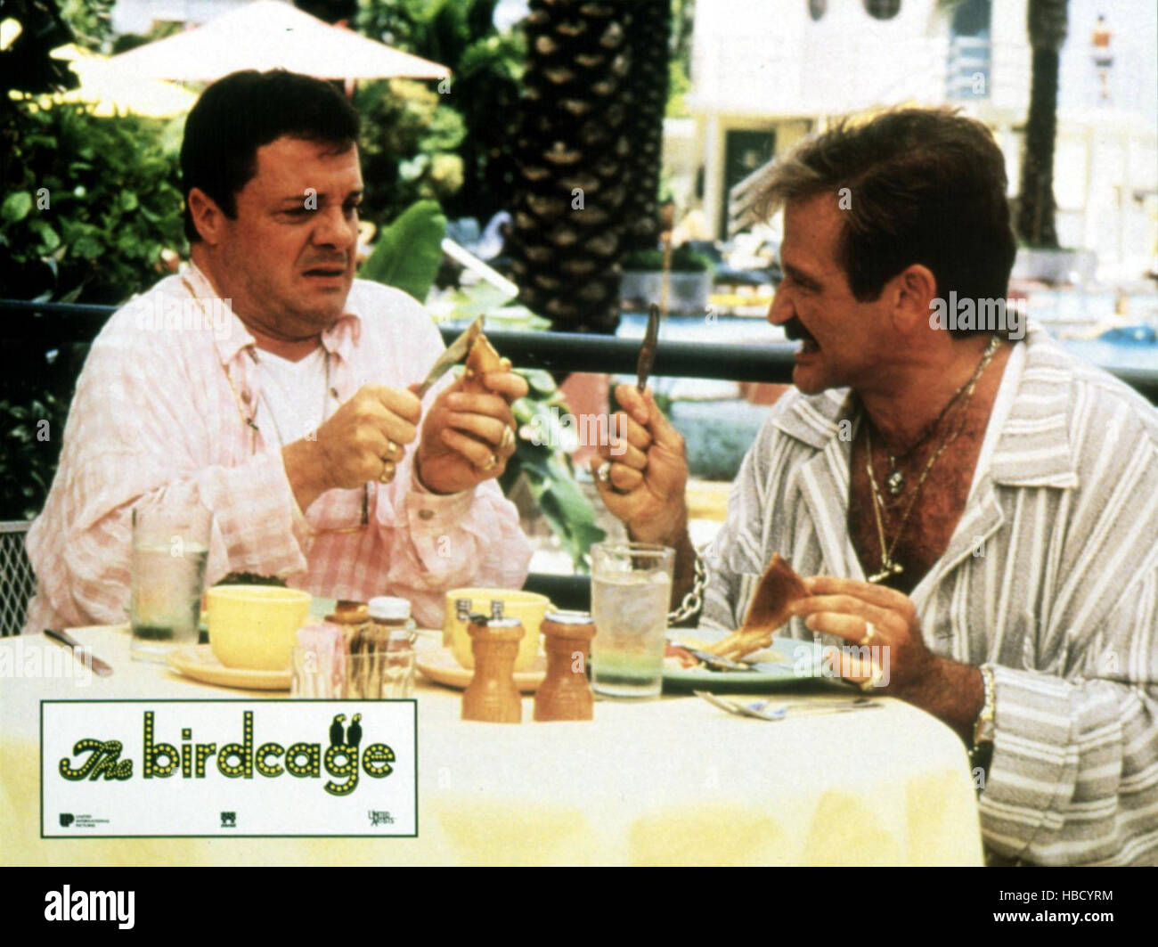 BIRDCAGE, Nathan Lane, Robin Williams Stock Photo Alamy
