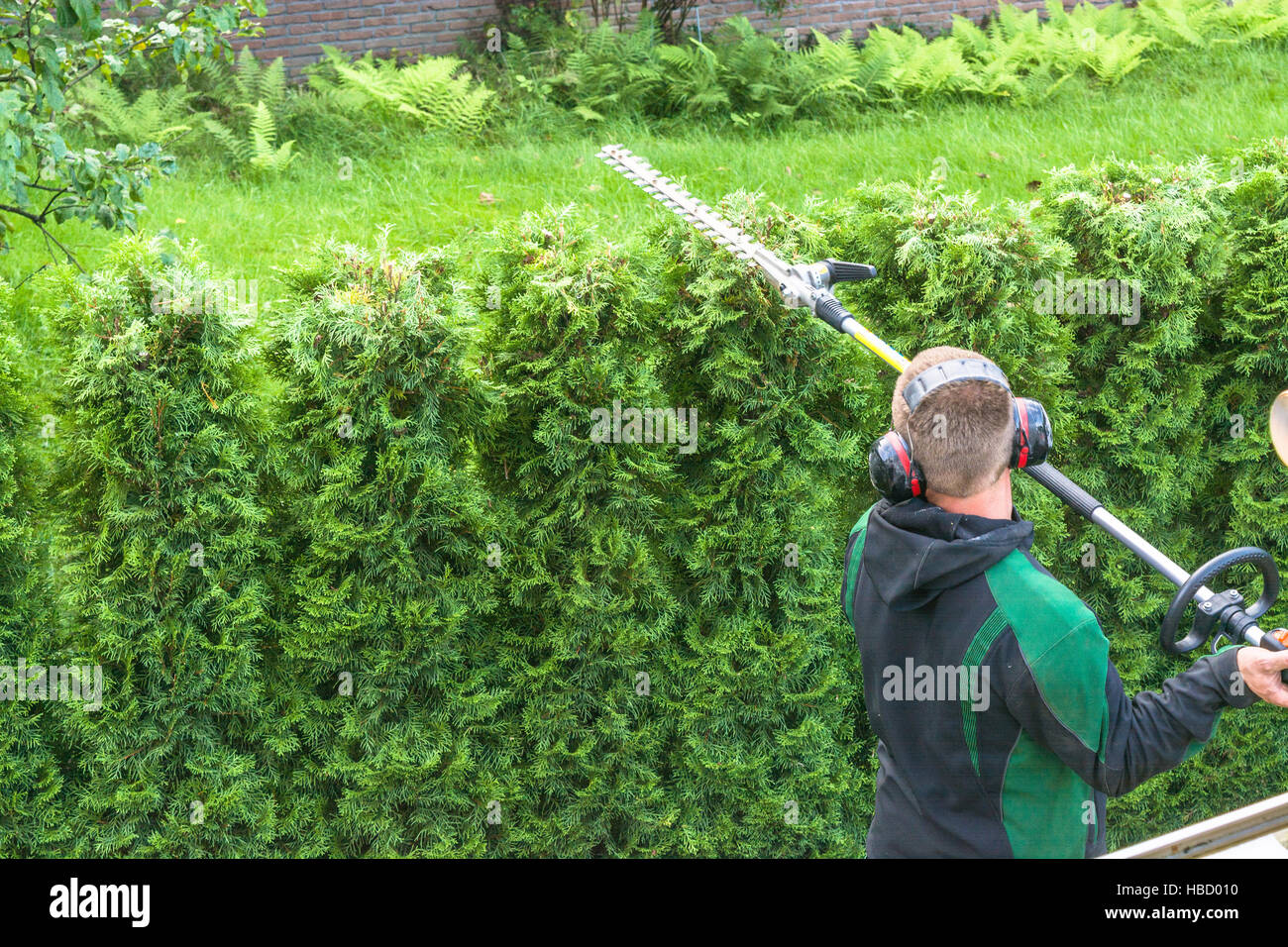 Hedge cutting petrol hedge trimmer. Stock Photo