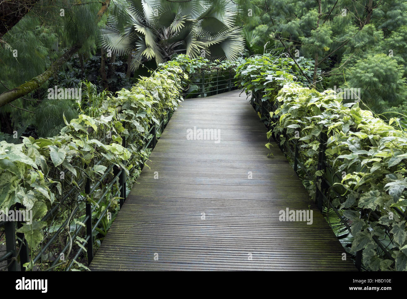 Park tropical hi-res stock photography and images - Alamy