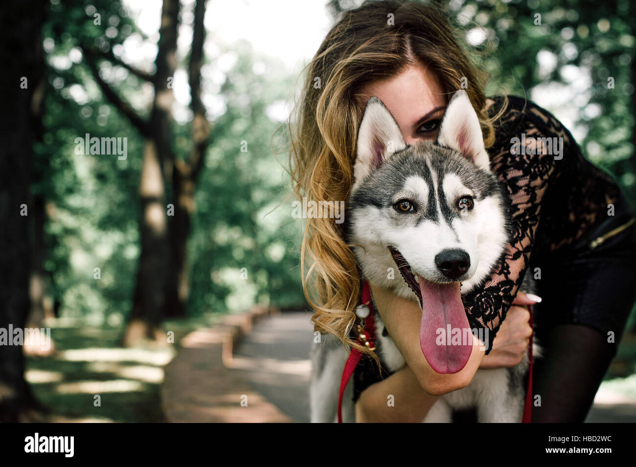 Girl in the park with a dog Husky. The girl with the siberian husky