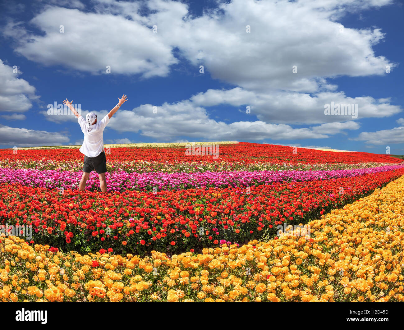 Enthusiastic tourist threw up his hands Stock Photo Alamy