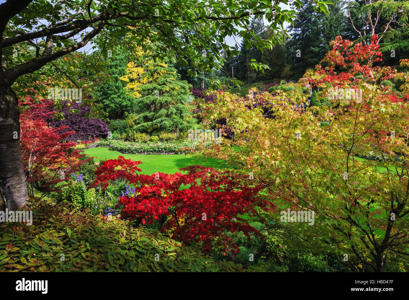 The grass lawns Stock Photo Alamy