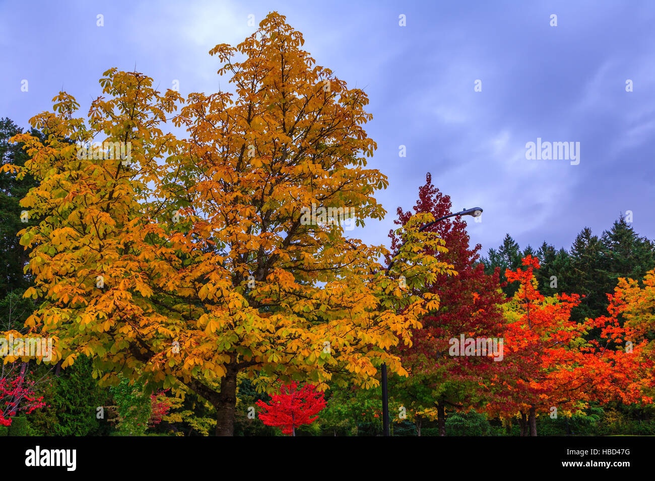 Park and garden hi-res stock photography and images - Alamy