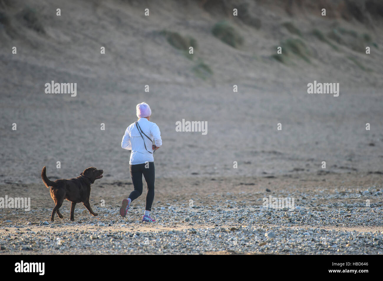 A woman runs with her Chocolate Labrador along Fistral beach in Newquay, Cornwall. Stock Photo