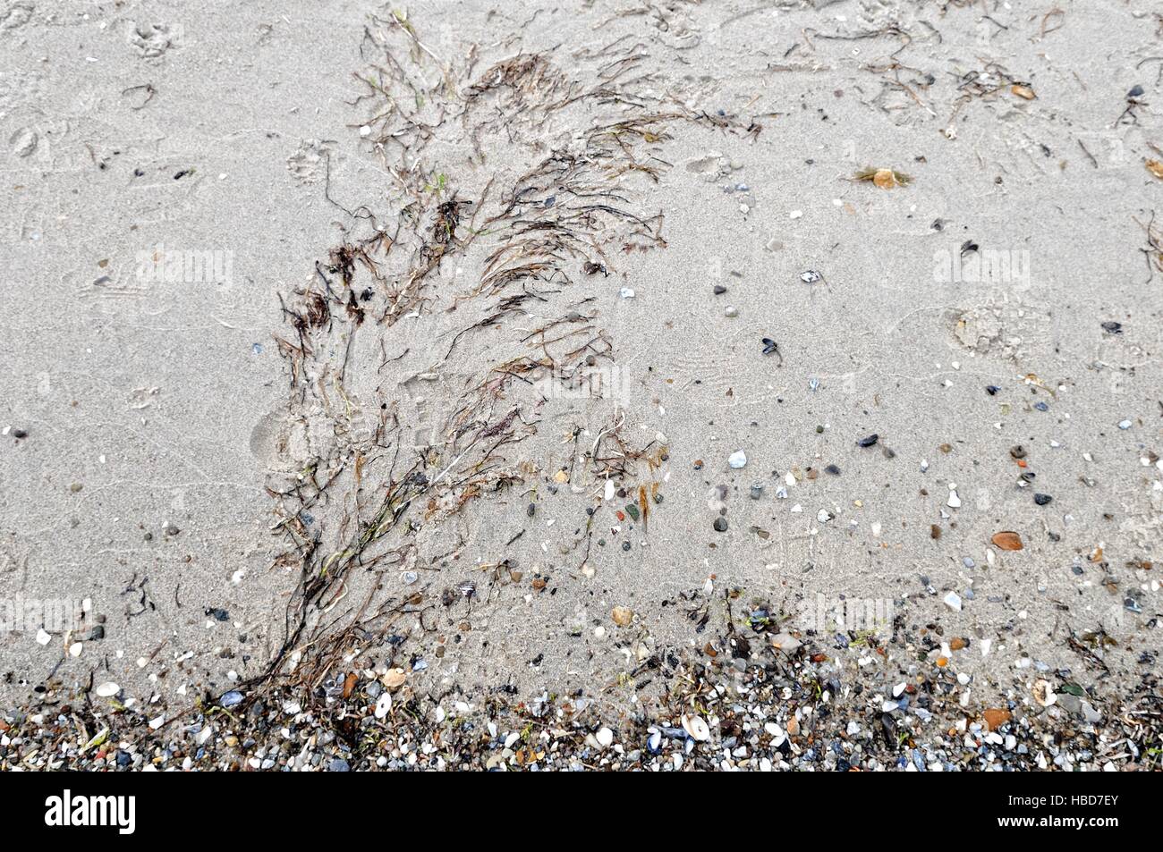 Flotsam and jetsam hires stock photography and images Alamy